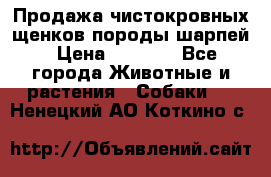 Продажа чистокровных щенков породы шарпей › Цена ­ 8 000 - Все города Животные и растения » Собаки   . Ненецкий АО,Коткино с.